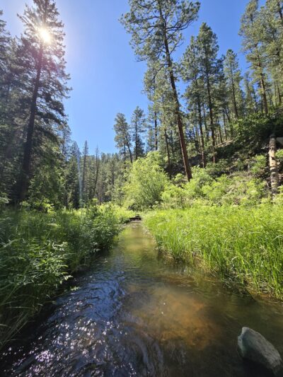 Jemez East River Slot Canyon - Jemez Springs, NM
