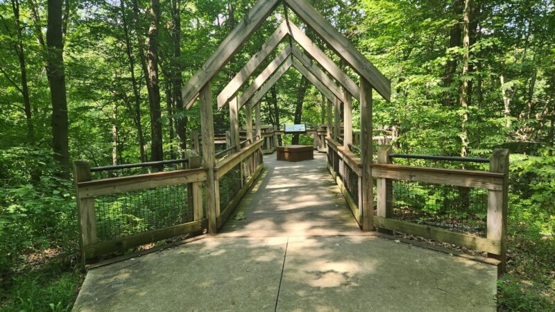 Grand Ravines Dog Park - Jenison, MI