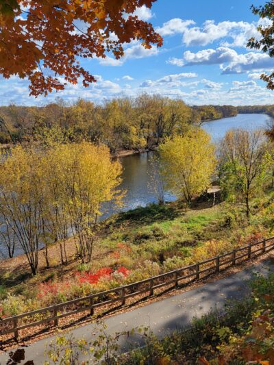 Grand Ravines Dog Park - Jenison, MI