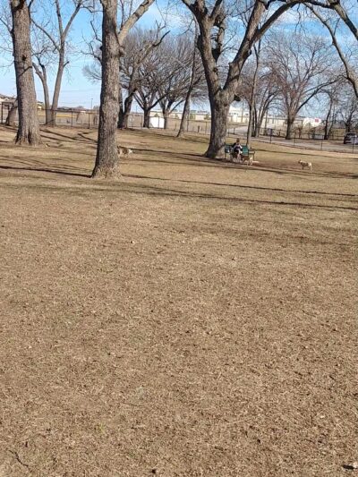 Bark West Dog Park - Jenks, OK