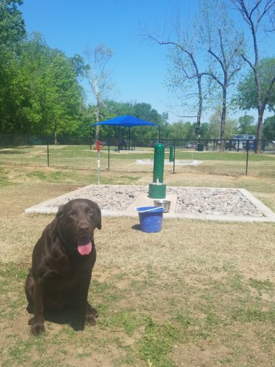 Dog Park - Jenks, OK