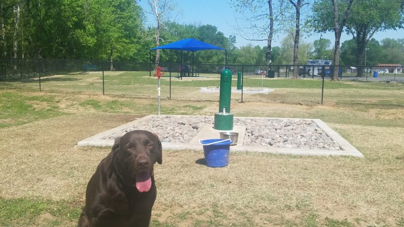 Dog Park - Jenks, OK
