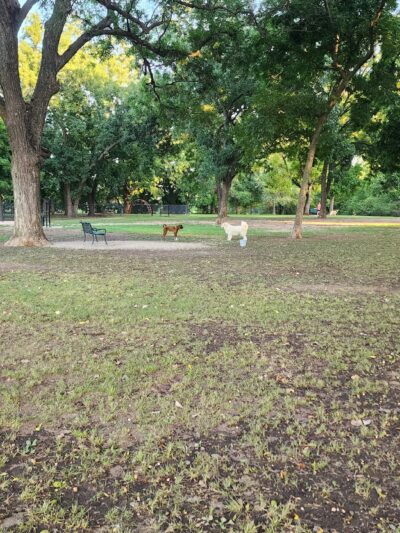 Dog Park - Jenks, OK