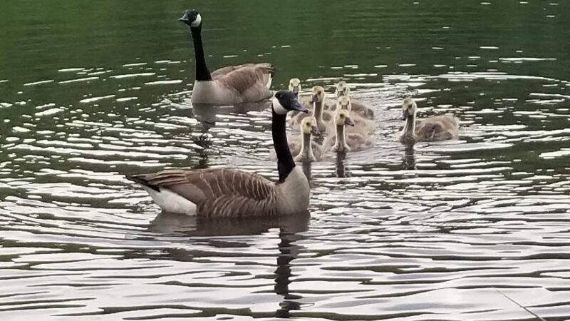 Aylesworth Park - Jermyn, PA