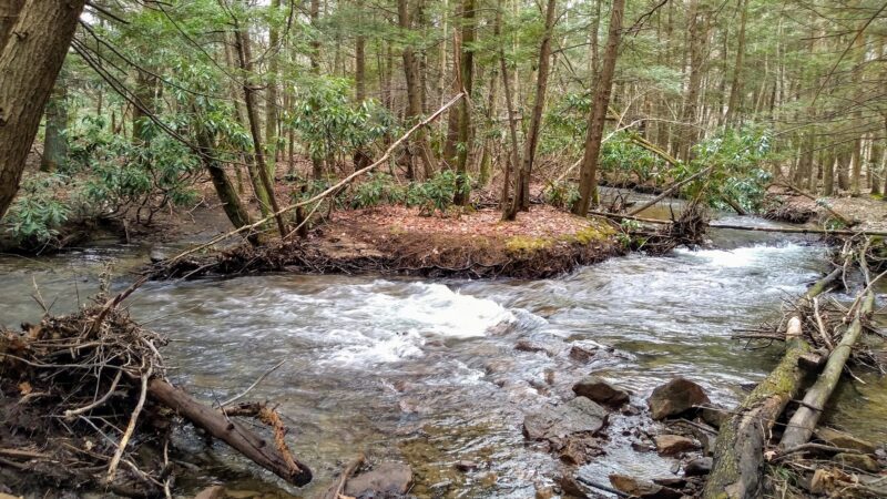 Aylesworth Park - Jermyn, PA