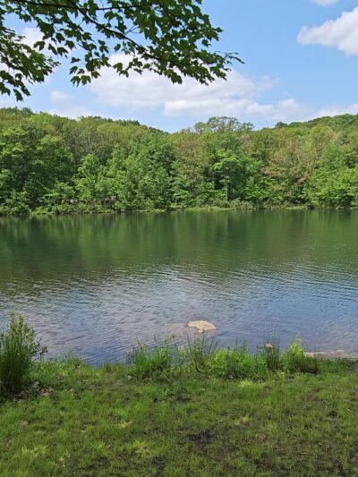 Aylesworth Park - Jermyn, PA