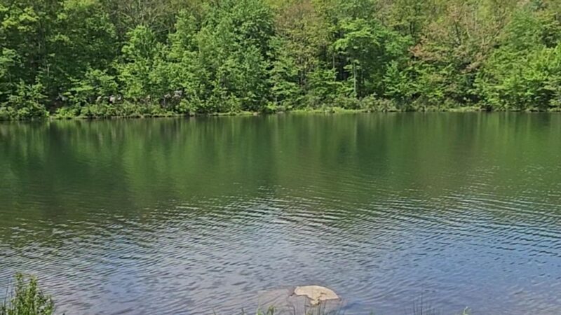 Aylesworth Park - Jermyn, PA