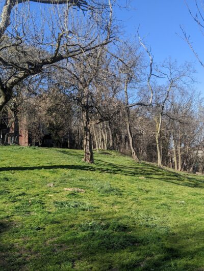 Bergen Hill Park - Jersey City, NJ