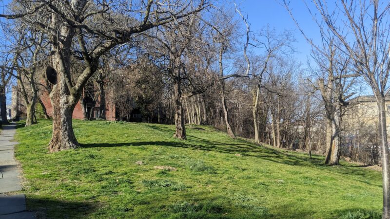 Bergen Hill Park - Jersey City, NJ