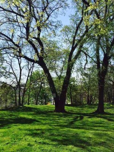 Bergen Hill Park - Jersey City, NJ
