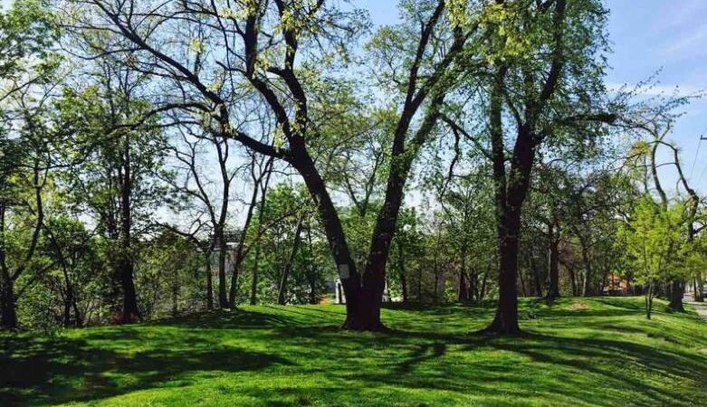 Bergen Hill Park - Jersey City, NJ