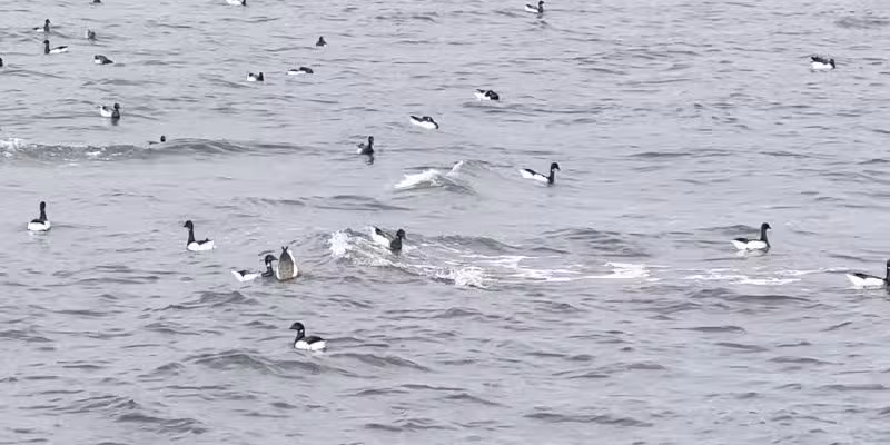 Caven Point - Jersey City, NJ