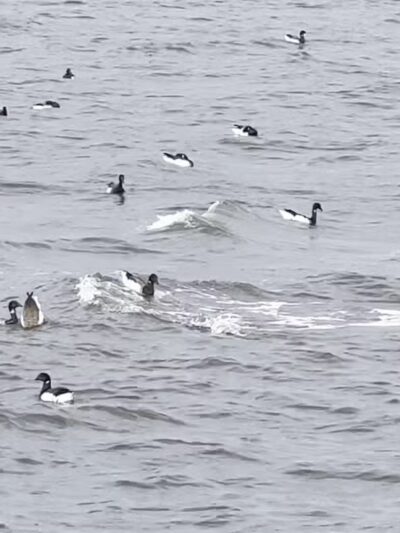 Caven Point - Jersey City, NJ