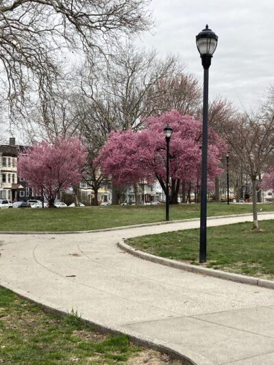 Columbia Park - Jersey City, NJ