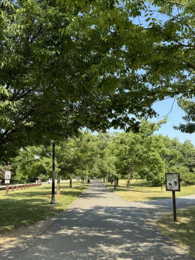 Grove of Remembrance - Jersey City, NJ