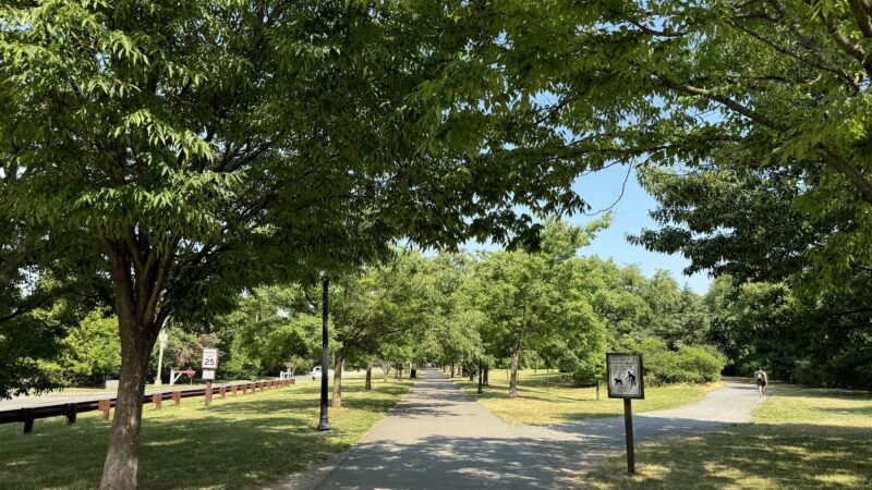 Grove of Remembrance - Jersey City, NJ