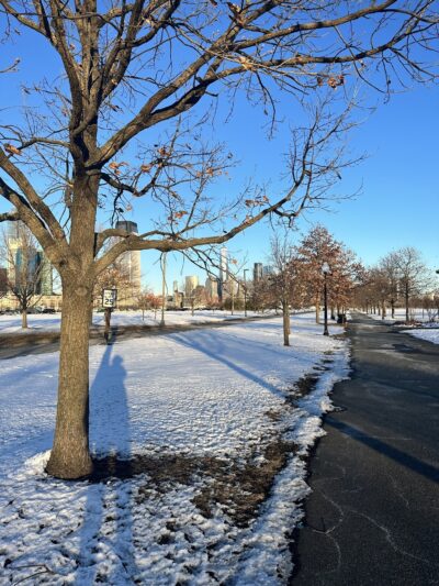 Grove of Remembrance - Jersey City, NJ