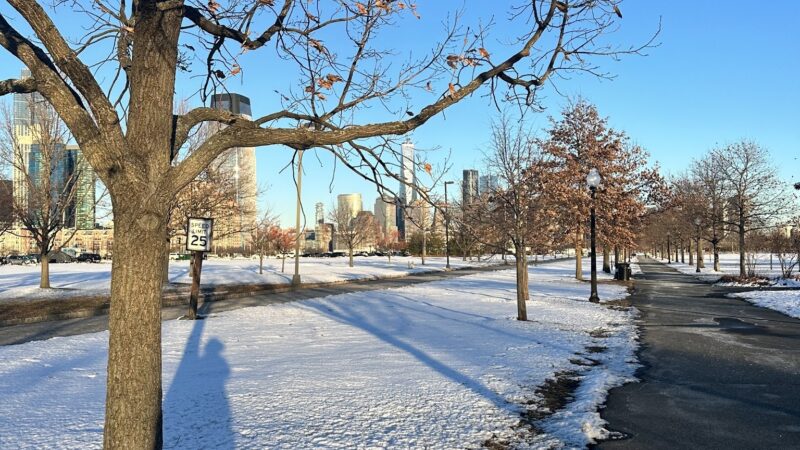 Grove of Remembrance - Jersey City, NJ