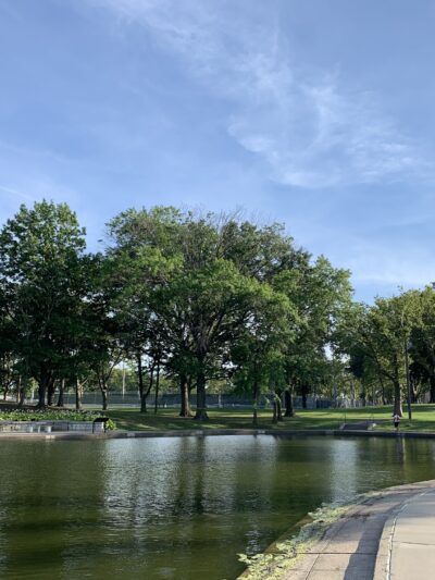 Lincoln Park - Jersey City, NJ