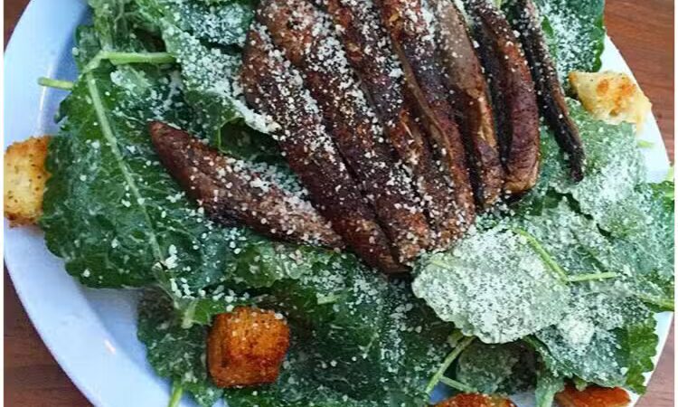 Pet Shop - Jersey City, NJ