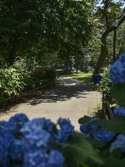 Van Vorst Park - Jersey City, NJ