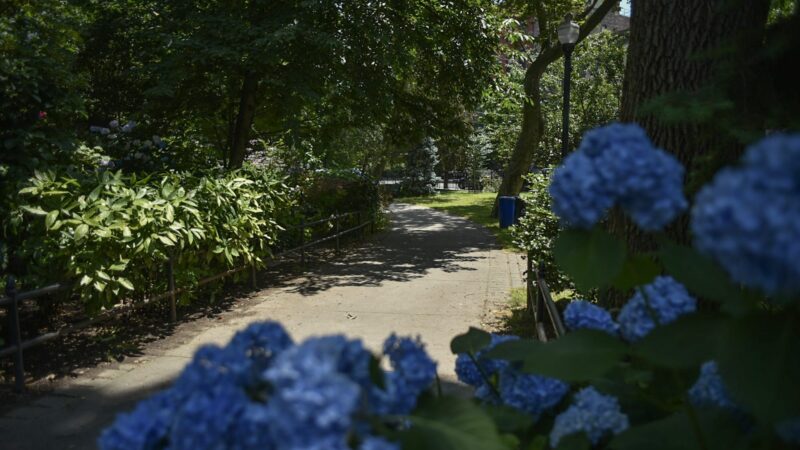 Van Vorst Park - Jersey City, NJ