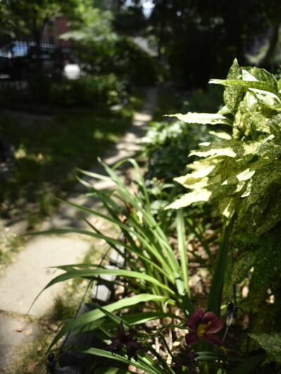 Van Vorst Park - Jersey City, NJ