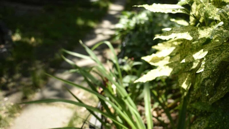 Van Vorst Park - Jersey City, NJ