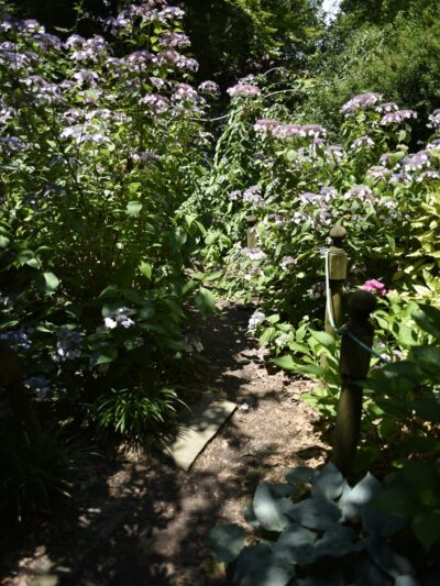 Van Vorst Park - Jersey City, NJ