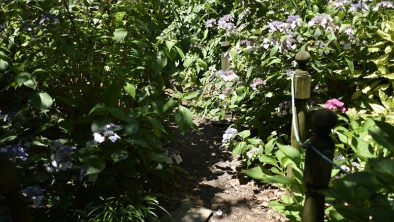 Van Vorst Park - Jersey City, NJ