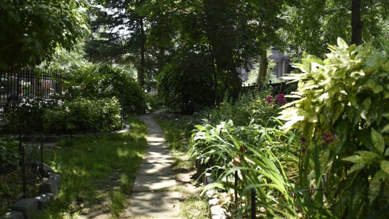 Van Vorst Park - Jersey City, NJ