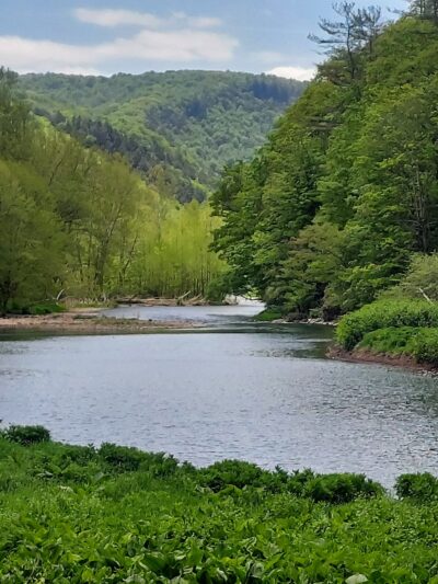 Pine Creek Valley Rail Trail - Jersey Shore, PA