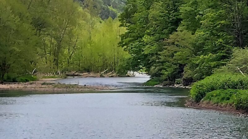 Pine Creek Valley Rail Trail - Jersey Shore, PA