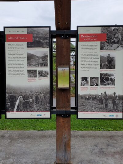 Pine Creek Valley Rail Trail - Jersey Shore, PA