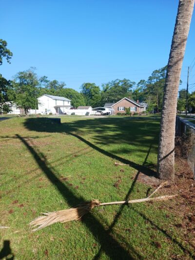 Jesup Dog Park - Small Dog Park - Jesup, GA