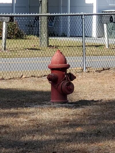 Jesup Dog Park - Small Dog Park - Jesup, GA