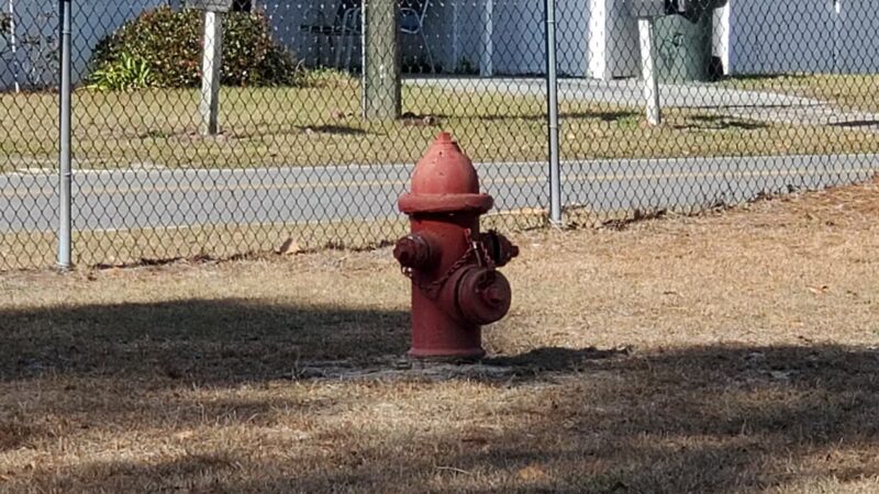 Jesup Dog Park - Small Dog Park - Jesup, GA