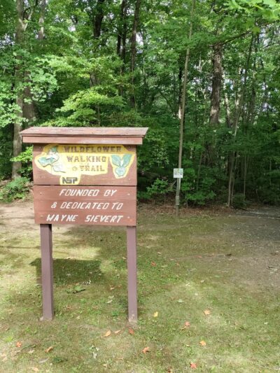 Wildflower Walking Trail - Jim Falls, WI