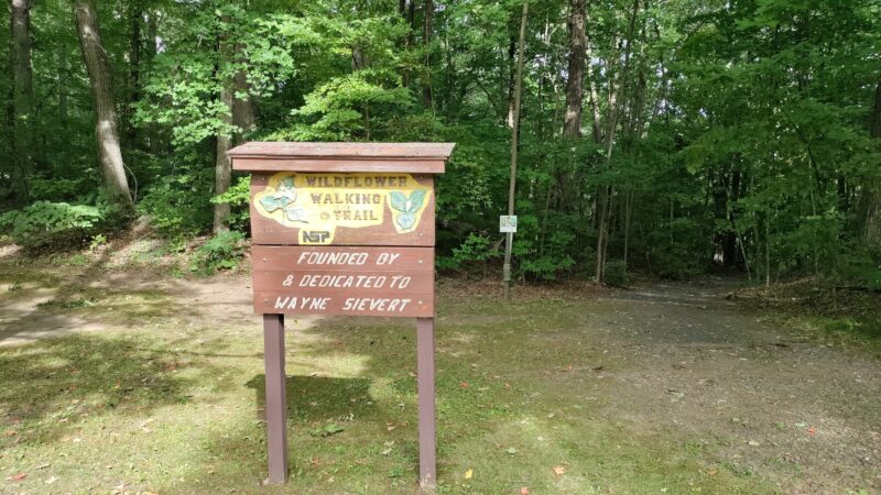 Wildflower Walking Trail - Jim Falls, WI