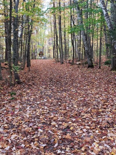 Thirteenth Lake Parking Lot - Johnsburg, NY