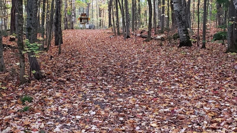 Thirteenth Lake Parking Lot - Johnsburg, NY