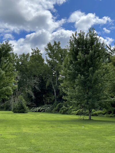 Boland Park - Johnson City, NY