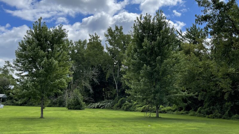 Boland Park - Johnson City, NY