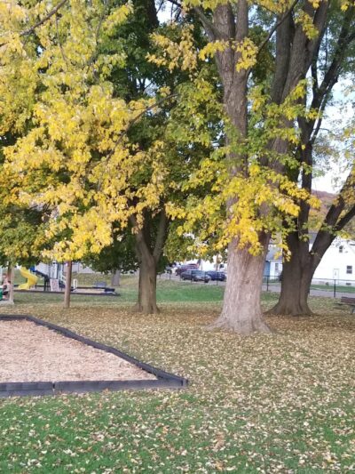 Northside Park - Johnson City, NY