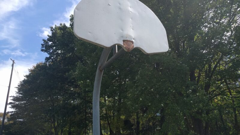 Southside Park (Floral Ave Park) - Johnson City, NY