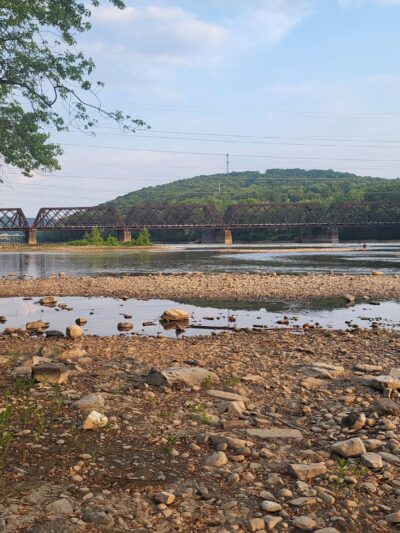 William Hill Park - Johnson City, NY