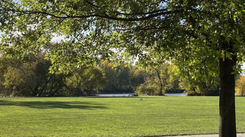 William Hill Park - Johnson City, NY