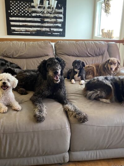 The Peaceful Pack - Johnston, RI