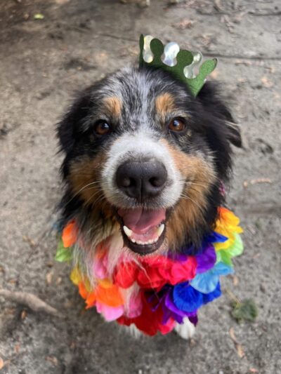 The Peaceful Pack - Johnston, RI