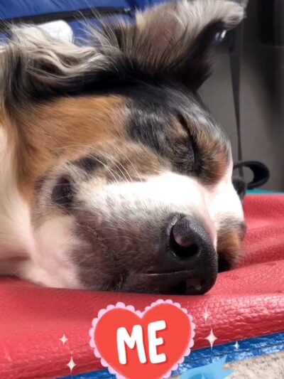 The Peaceful Pack - Johnston, RI